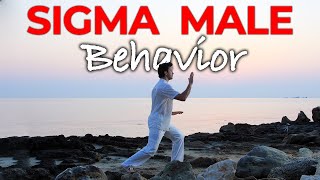 Sigma Male Behaviour  What Makes You a Sigma Male [upl. by Harshman507]