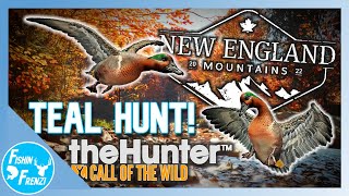 Hunting GreenWinged Teal On New England Mountain  theHunter  Call of the Wild [upl. by Ynaoj]