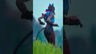 FORTNITE COMBOS THAT GO HARD  RENEGADE LYNX fortnite [upl. by Nosnej]