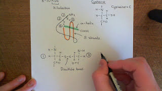 Introduction to Chemokines Part 1 [upl. by Rudolph]