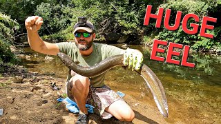 Fishing for MASSIVE Freshwater American Eel [upl. by Elyag]