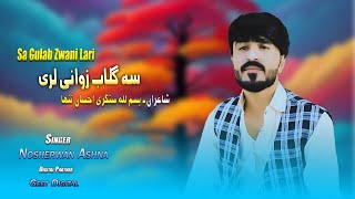 Nosherwan Ashna Pashto new Songs 2023  Sa Gulab Zwani Lari [upl. by Erreipnaej]