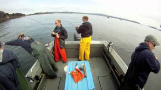 The Best Salmon Fishing is in Craig Alaska [upl. by Eniaj]