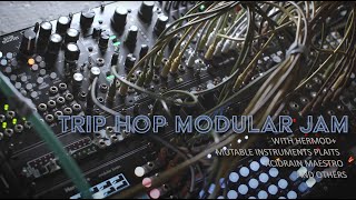 Trip Hop inspired modular jam with Plaits Pizza Honeyeater Hermod and more [upl. by Nugent]