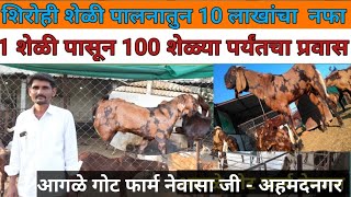 आगळे गोट फार्म नेवासा शेळी पालनातून १० लाखांचा नफा goat farming shelipaln  bakri farm aagle [upl. by Lacey521]