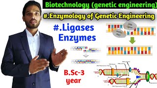 DNA Ligases Enzyme  BSc 3 year Zoology 2nd paper  Biotechnology Genetic Engineering [upl. by Urien689]