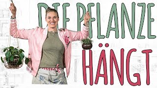 DIE PFLANZE HÄNGT  HÄNGETOPF DIY [upl. by Eloci554]