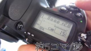 Nikon D600のシャッター音 [upl. by Ultan]