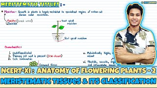 Anatomy of Flowering Plants Lec 2Meristematic Tissues amp its ClassificationClass 11NEETNeetology [upl. by Llenehs961]