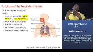 MCAT® The Respiratory System  Part 1  Major Functions of the Respiratory System [upl. by Ellekcir105]