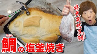 【第一回セイちゃん食堂開店】特大天然真鯛まだいの塩釜焼き作りましょう！！【料理】 [upl. by Edijabab]