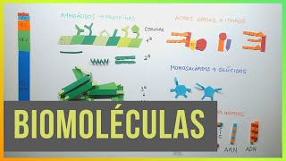 CARBOHIDRATOS Bioquímica fácil y sencilla [upl. by Toogood29]