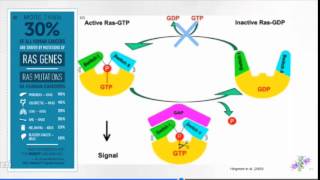 How to implant tumors [upl. by Martelli]