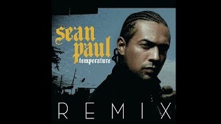 Sean Paul  Temperature ftPitbull REMIX [upl. by Clio94]