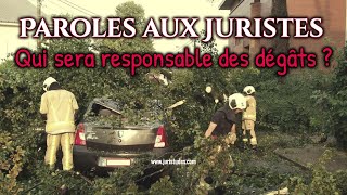 Responsabilité du fait des choses Paroles aux juristes 41 [upl. by Anahsed]