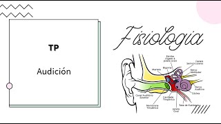 Neurofisiología  Audición  UBA  MEDICINA [upl. by Odraccir]