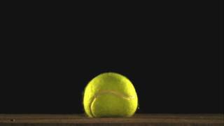 The Beauty of Slow Motion  Tennis Ball Bounce [upl. by Oraneg]