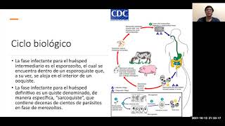 Tema de Sarcocystis sp [upl. by Carberry73]