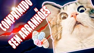 Como dar comprimido para gato  sem arranhões [upl. by Almallah]