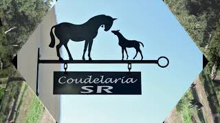 coudelaria SR [upl. by Alraep]