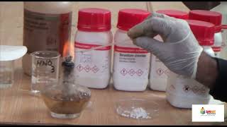 Experiment 1 Identify Sodium Calcium Strontium barium copper potassium radicals by flame test [upl. by Ynohtona]