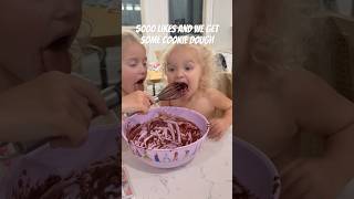 Brownie Mix Isn’t Safe In This House cute funny family [upl. by Anehta716]