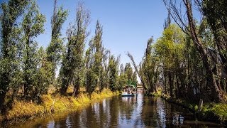 Chinampas de Xochimilco paraíso de la cocina capitalina [upl. by Ytinav780]