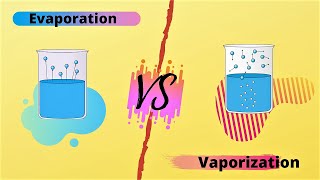 What Is The Difference Between Vaporization And Evaporization Differenceit [upl. by Herries]