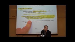 PHARMACOLOGY NARCOTIC ANALGESICS by Professor Fink [upl. by Dotty21]