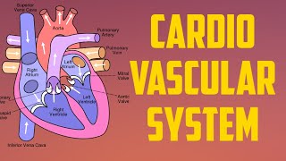 CARDIOVASCULAR SYSTEM  PART1 MEDICAL PHYSIOLOGY  UNIT3 [upl. by Ahcim]