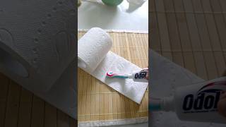 Schmiere Zahnpasta auf Klopapier und Staune was passiert shorts tippsundtricks lifehacks [upl. by Ocramed]