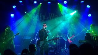 Majesty  JULY12 Madrugada Tribute Band Live  HolyWood 07062018 [upl. by Ioved862]