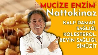 KALP DAMAR SAĞLIĞI KOLESTEROLBEYİN SAĞLIĞISİNÜZİTE İYİ GELEN mucize ENZİM NATTOKİNAZ [upl. by Aikin82]