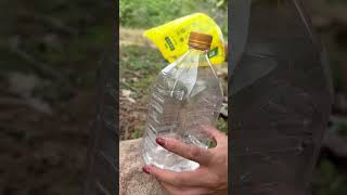 Survival Skill  Make hand sanitizer with water bottle survival camping jungle [upl. by Dunning]