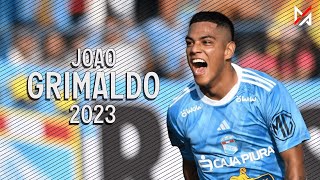 Joao Grimaldo  Sporting Cristal  Mejores Jugadas  Asistencias  Apertura Liga 1  2023  MPHD™ [upl. by Occor818]