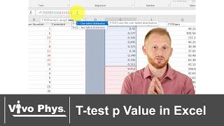 T test p Value in Excel [upl. by Aneeles]