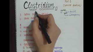 CLOSTRIDIUM PERFRINGENS amp WELCHII  CLASSIFICATION  MORPHO TOXIN VIRULENCE FACTOR LAB DIAGNOSIS [upl. by Adyahs]