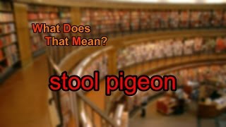 What does stool pigeon mean [upl. by Togram]