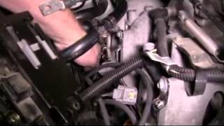 How to Replace the Spark Plugs on a 1997 Ford F150 [upl. by Niras]