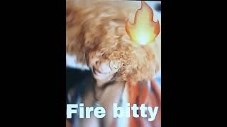 RTS LOWW  FIRE BITTY OFFICIAL VIDEO [upl. by Nesyt]