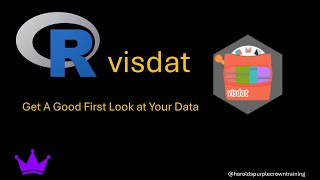 R VisDat Get A Good Look at Your Data [upl. by Cirdec]