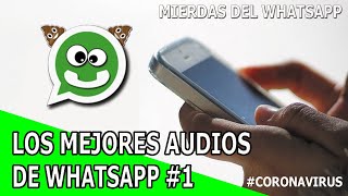 RECOPILACION  LOS MEJORES AUDIOS DE WHATSAPP 1 CORONAVIRUS [upl. by Retxab]