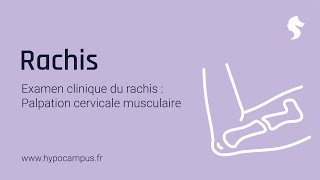 Examen Clinique du Rachis  la Palpation Cervicale Musculaire [upl. by Griffith675]