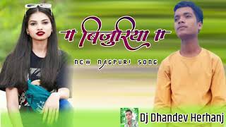 Bijuriya giraya debu new nagpuri song DJ Dhandev Herhanj new nagpuri song [upl. by Nwahsak975]