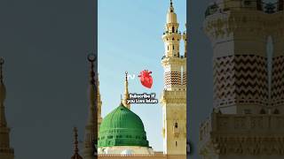 hasbi rabbi jallallah hasbirabbi naat ringtone short shorts [upl. by Hoo707]