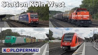 Züge am Köln West bahnhof  German Train Compilation [upl. by Mcdonald]