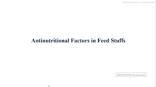 Antinutritional Factors In Animal Feed Ingredients  Animal Nutrition [upl. by Amsab577]