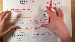 Ethanol  GCSE Chemistry [upl. by Arakihc]