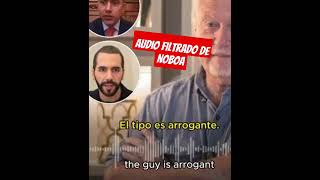 URGENTE AUDIO FILTRADO DE NOBOA HABLANDO quotbienquotDE BUKELE [upl. by Wadsworth911]