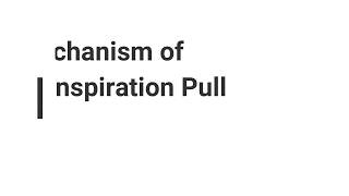 Mechanism of transpiration pull [upl. by Ihc638]